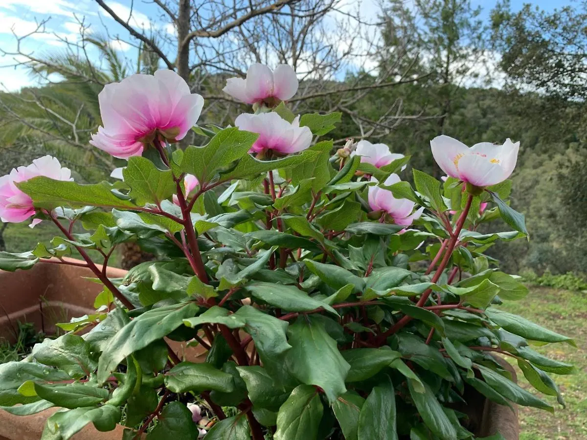 Casetta Genneria Seùlo Διαμέρισμα